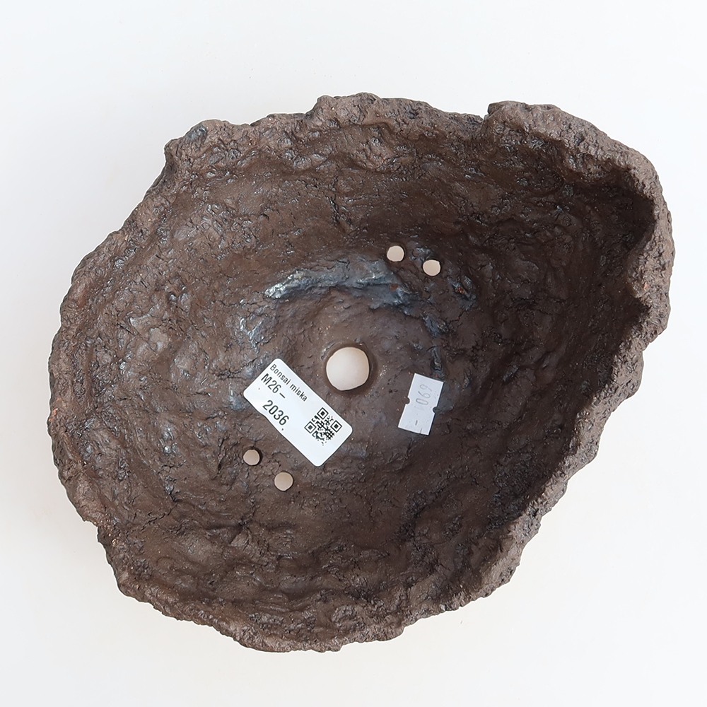 Ceramic Shell, 20 x 16 x 13 cm, brown