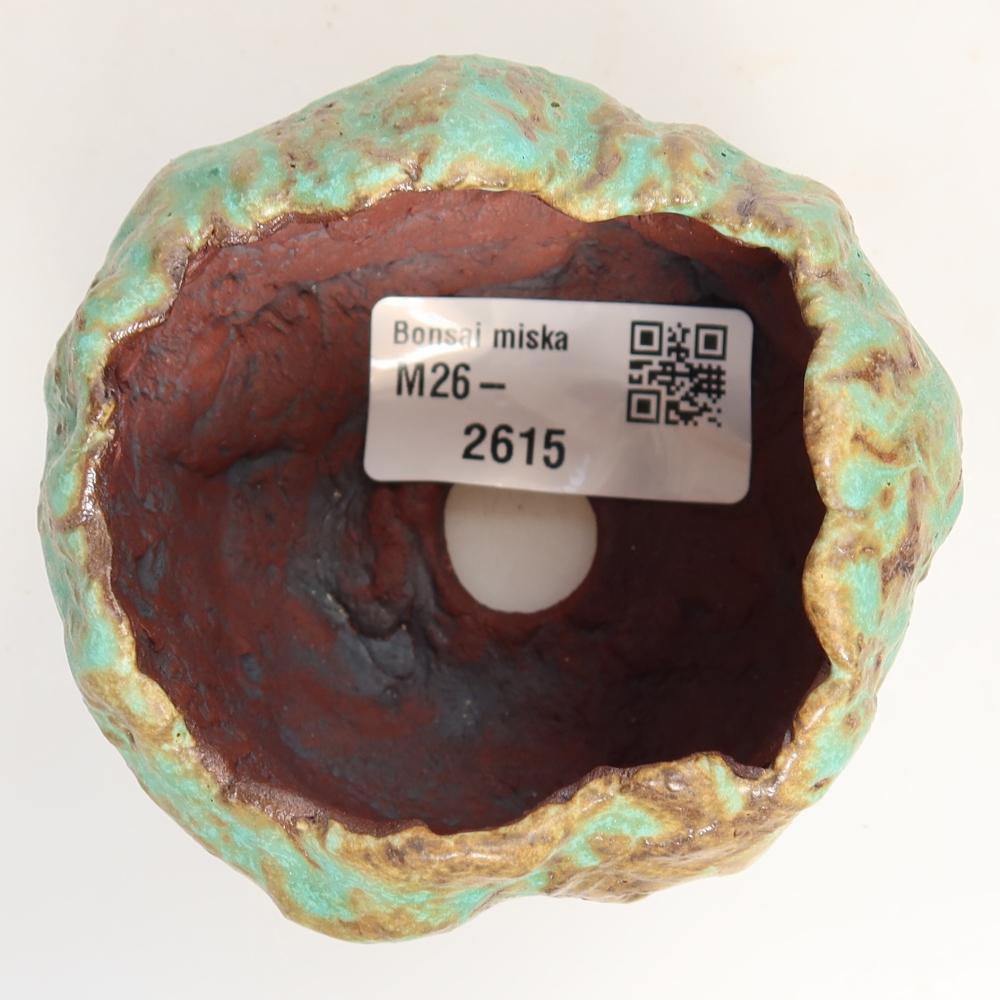 Ceramic Shell, 7 x 7 x 6 cm, green