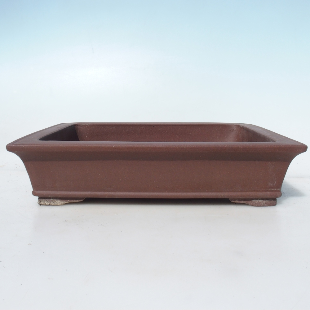 Bonsai bowl 30 x 24 x 7 cm birch brown