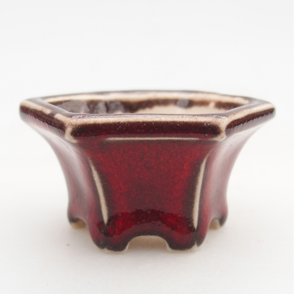 Mini bonsai bowl 5,5 x 5 x 3 cm, colour red
