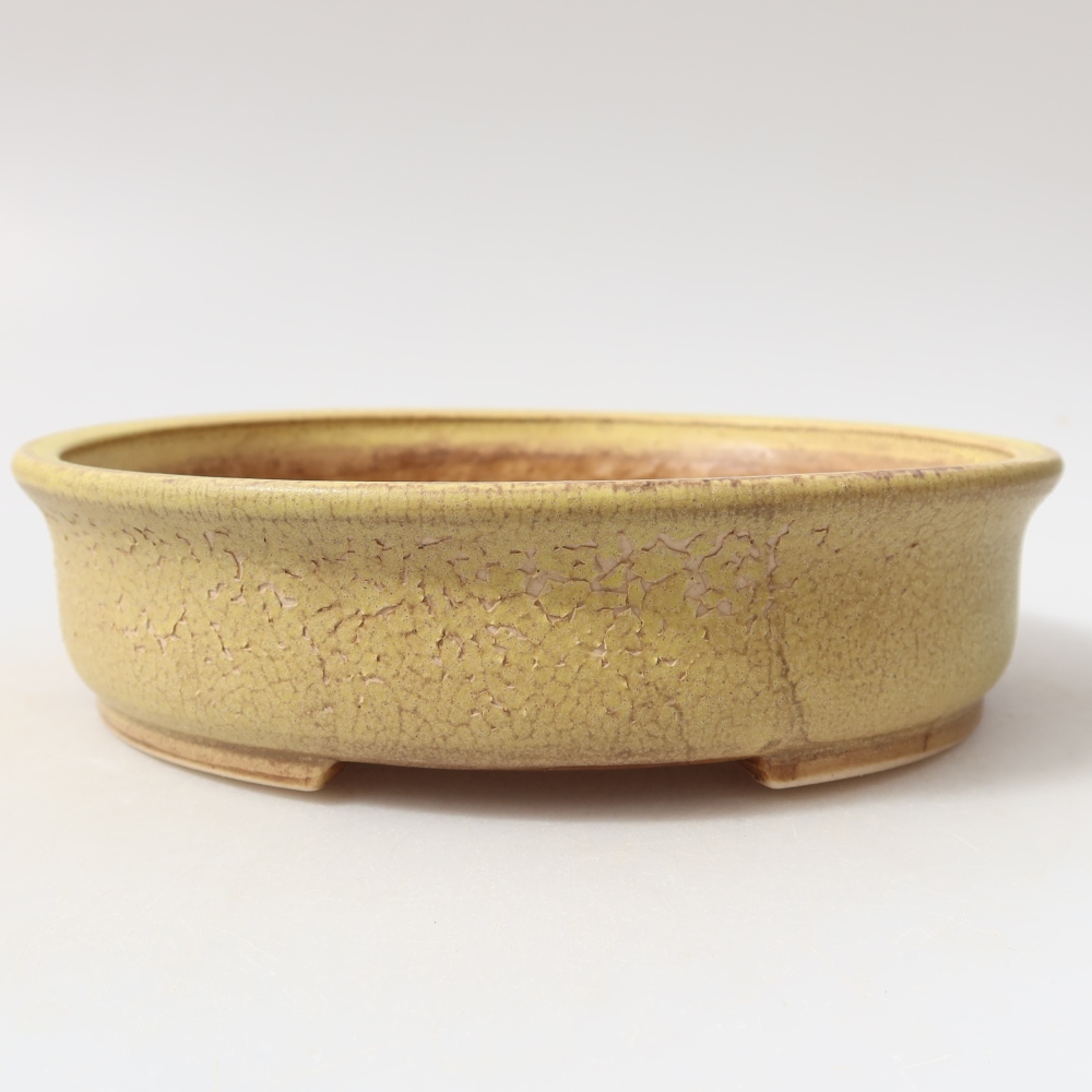 Ceramic bonsai pot, 18 x 16.5 x 4.5 cm, yellow