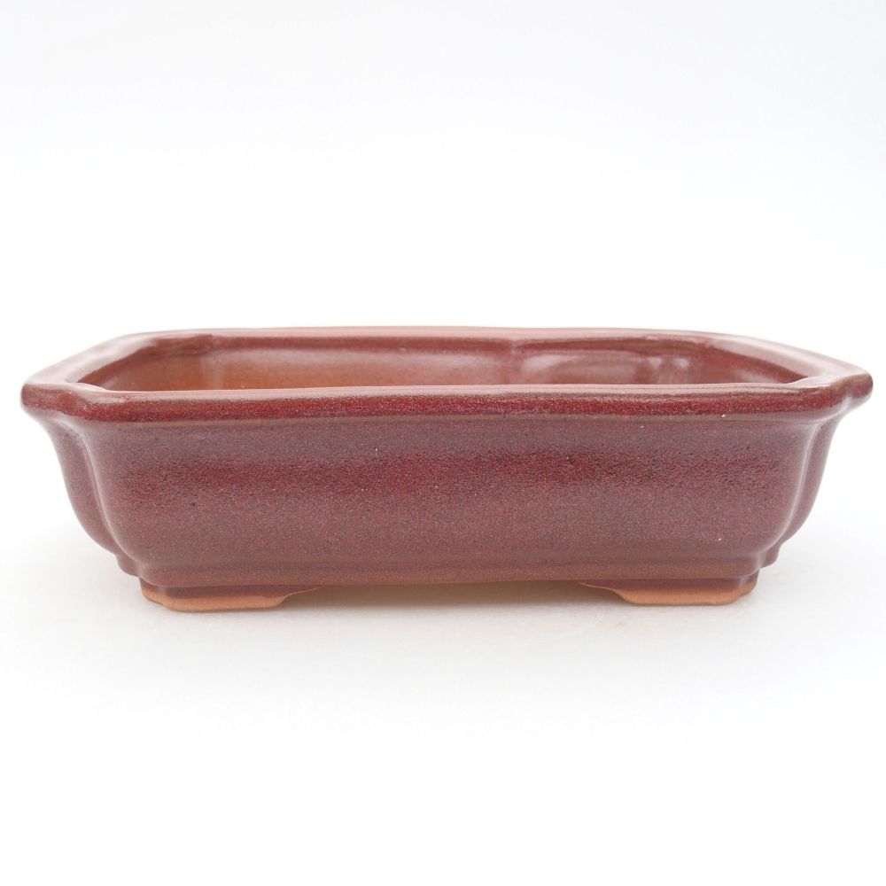 Ceramic bonsai bowl 18 x 13,5 x 5 cm, color burgundy
