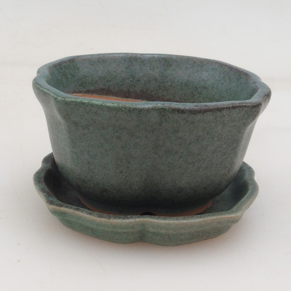 Bonsai bowl + saucer H95 - green