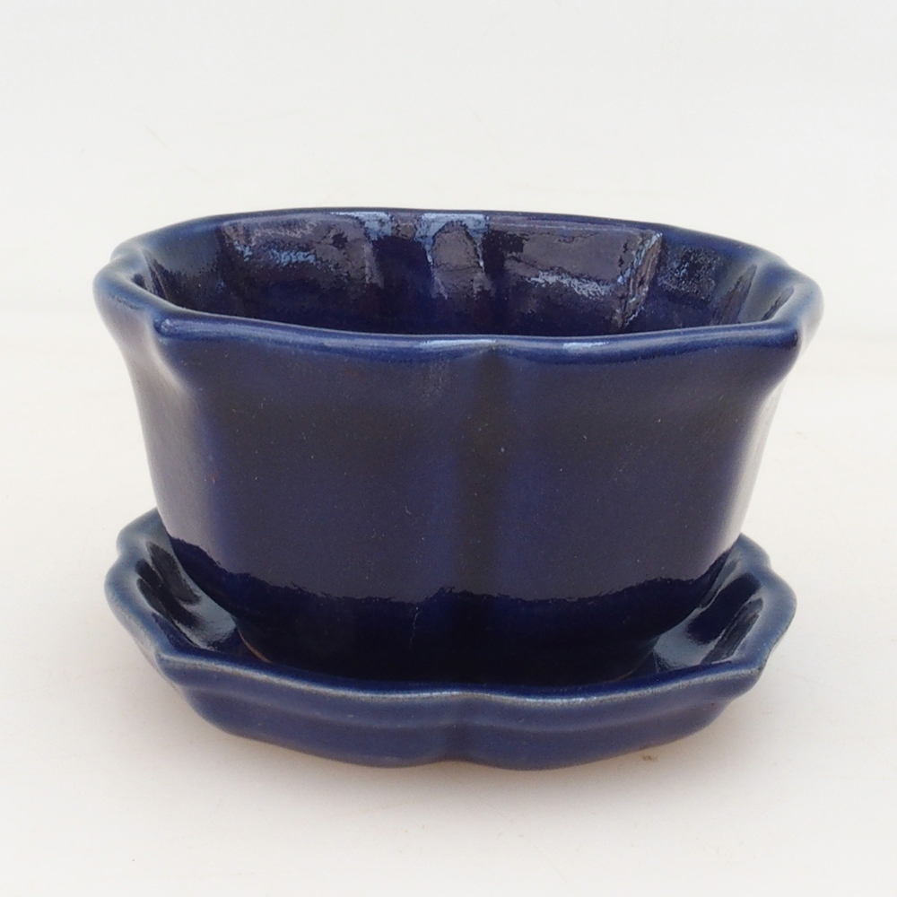 Bonsai bowl + bowl H95
