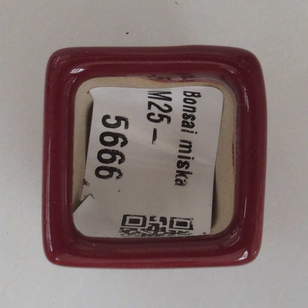 Mini bonsai bowl 3 x 3 x 3,5  cm, color burgundy