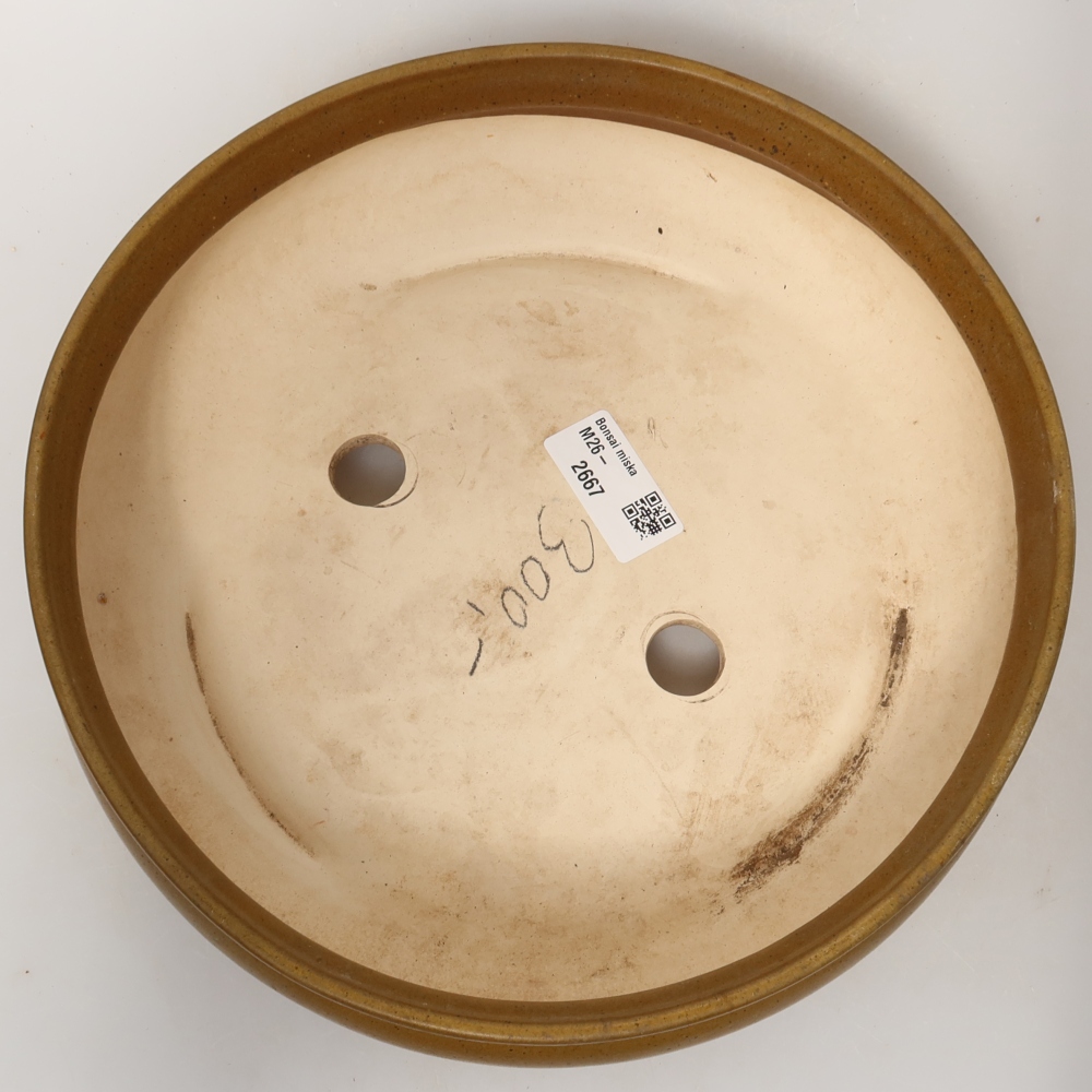 Ceramic Shell, 24 x 24 x 7.5 cm, brown