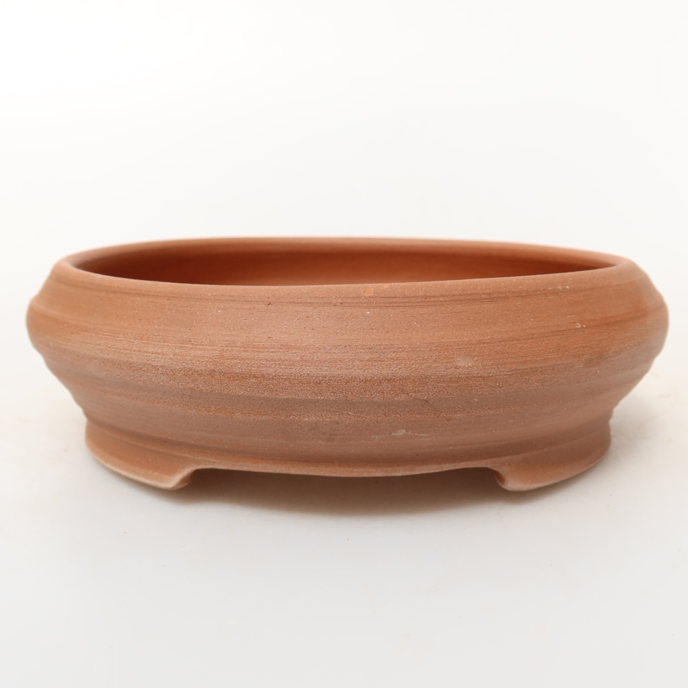Ceramic Shell  13 x 10.5 x 5.5 cm, natural color