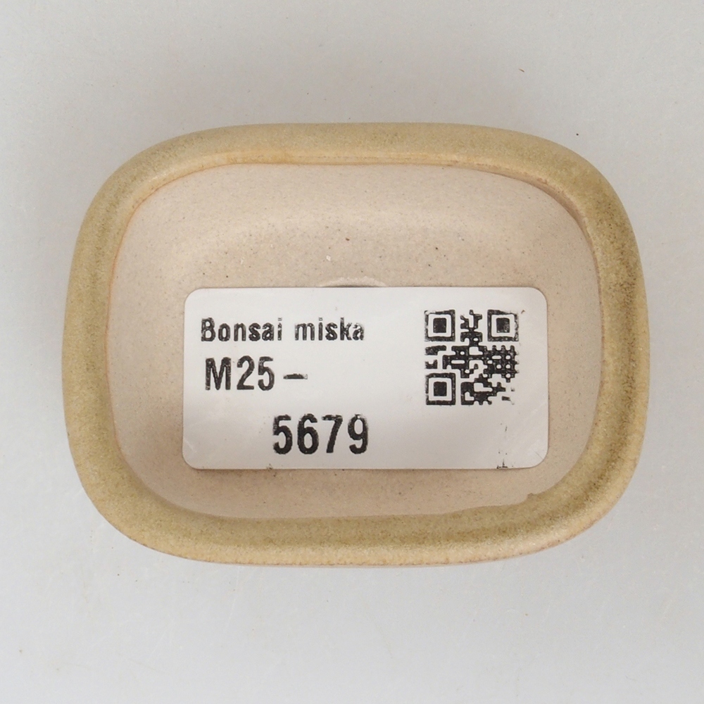 Mini bonsai bowl 5,5 x 4 x 2 cm, color brown