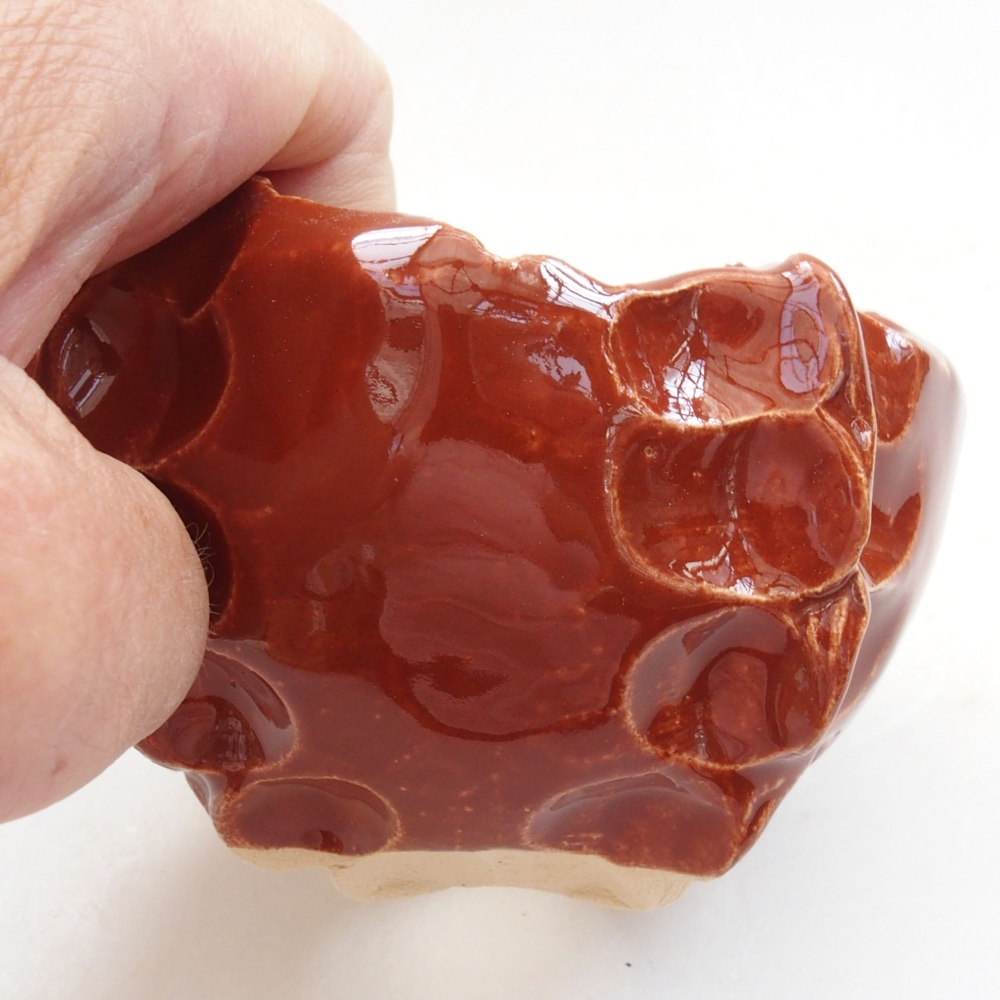 Ceramic shell 7 x 7 x 6,5 cm, color brown