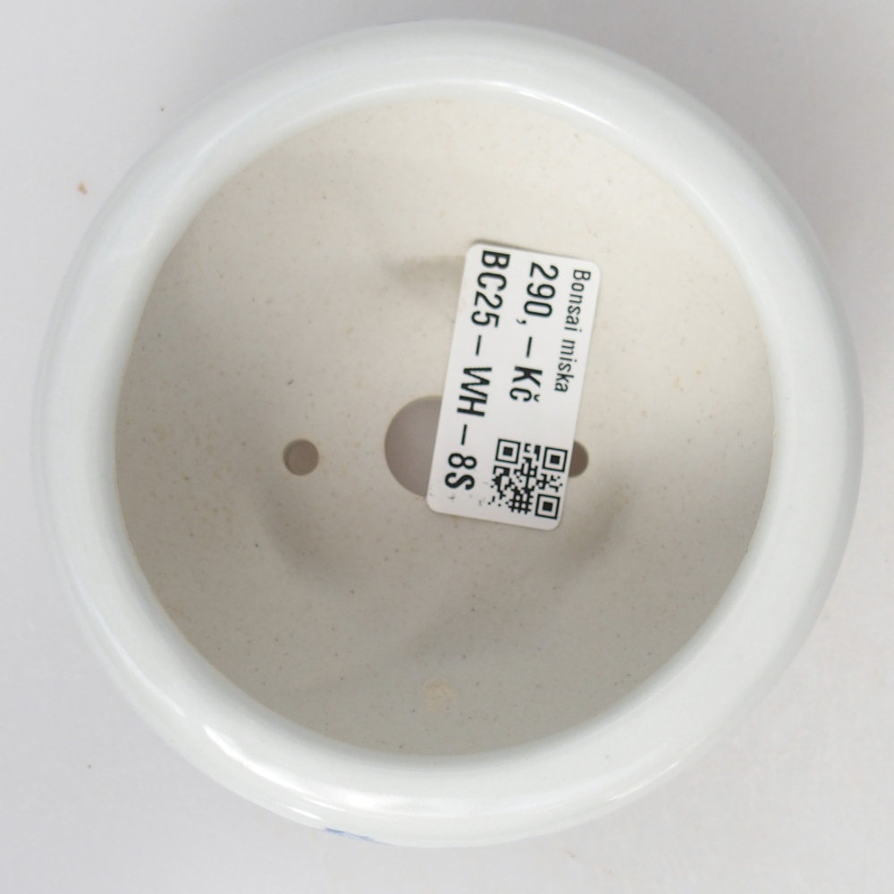 Ceramic bonsai bowl 10 x 10 x 5 cm, colour white