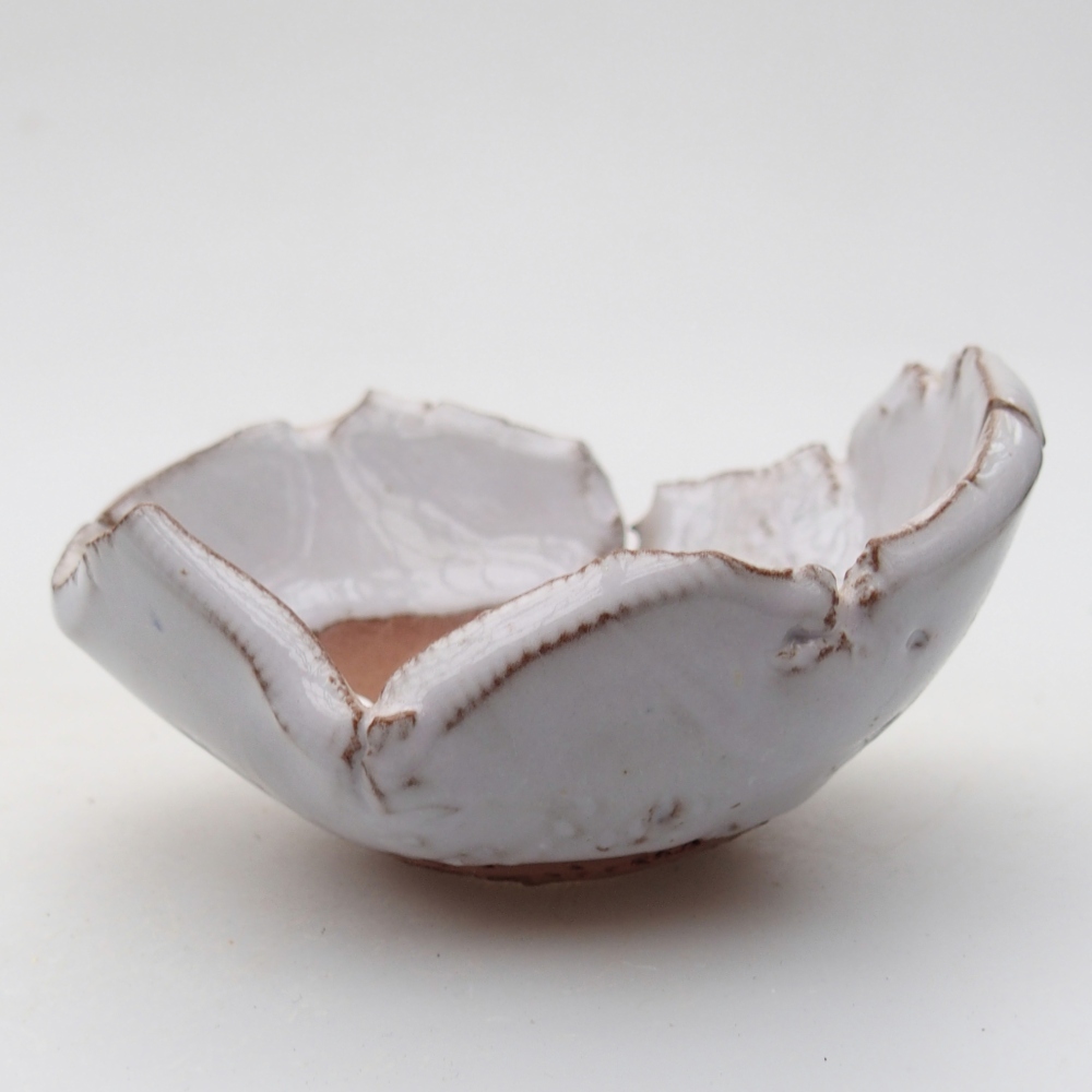 Ceramic Shell 9 x 8 x 5 cm , colour white