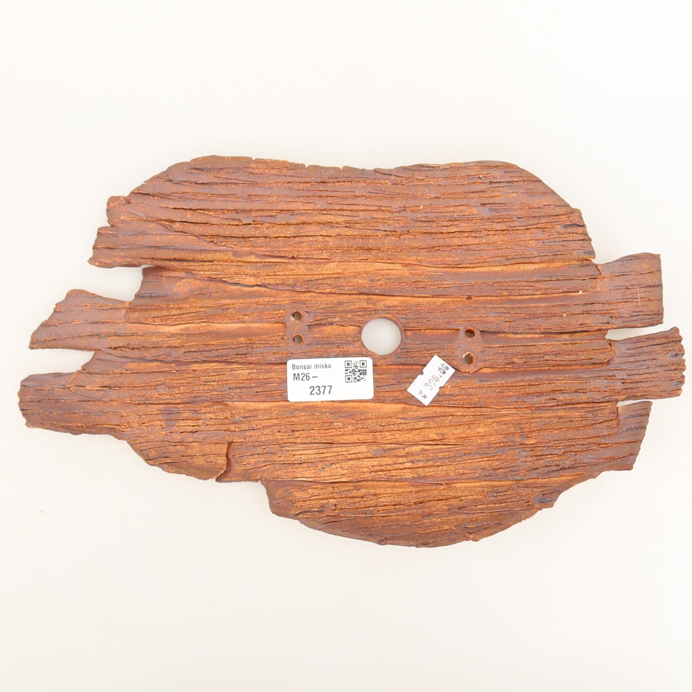 Ceramic Shell  30.5 x 18 x 3.5 cm, brown