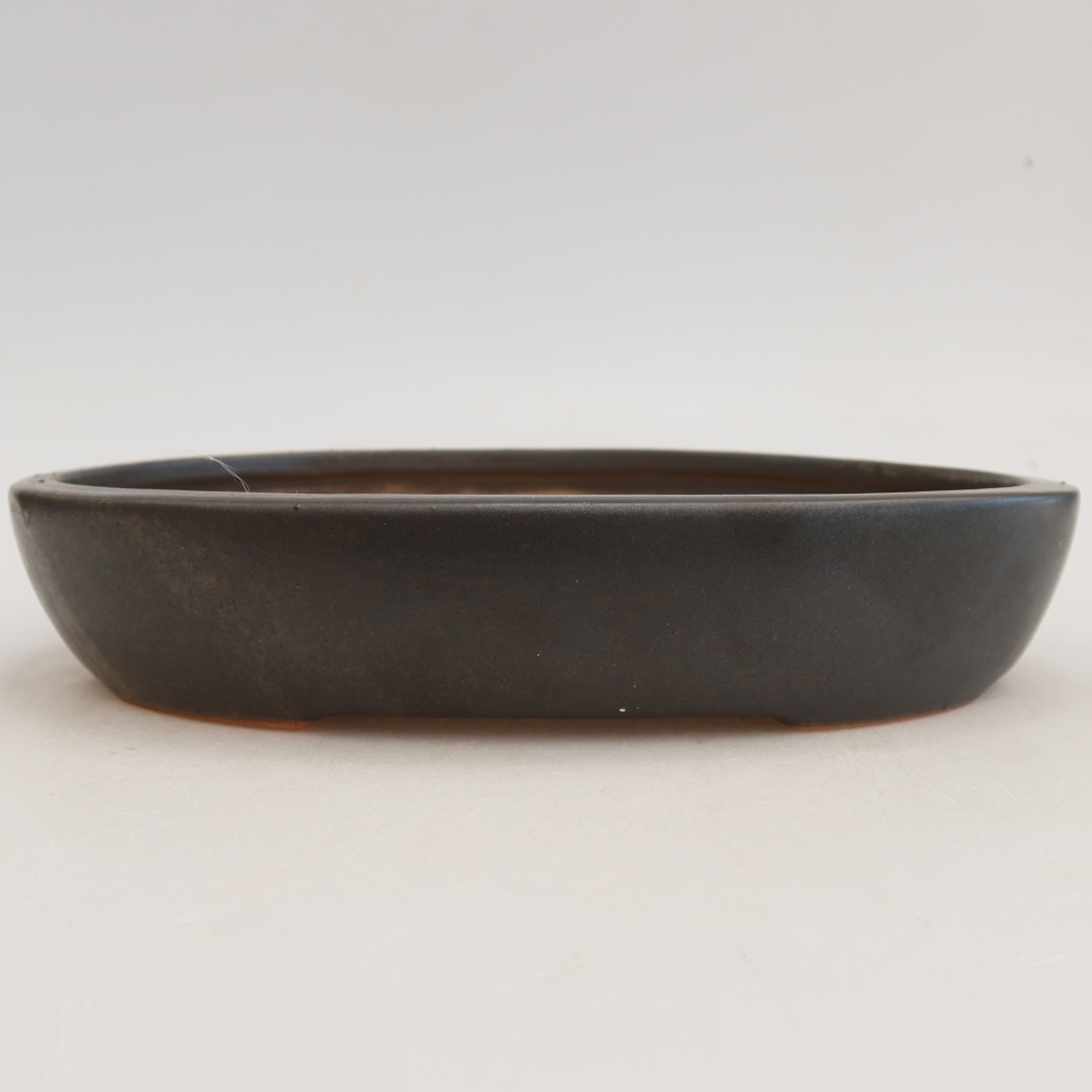 Ceramic bonsai pot, 22 x 17 x 4 cm, gray