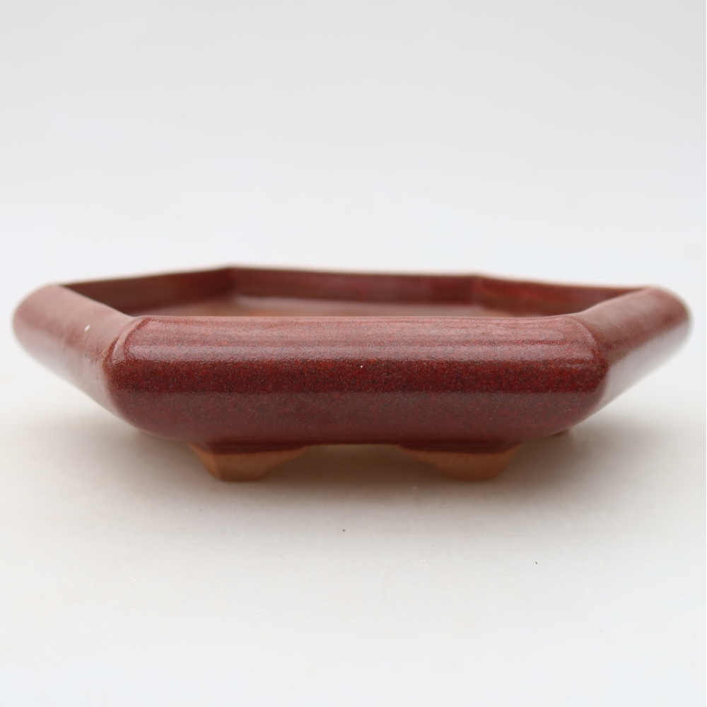 Ceramic bonsai pot, 17 x 15 x 4 cm, burgundy