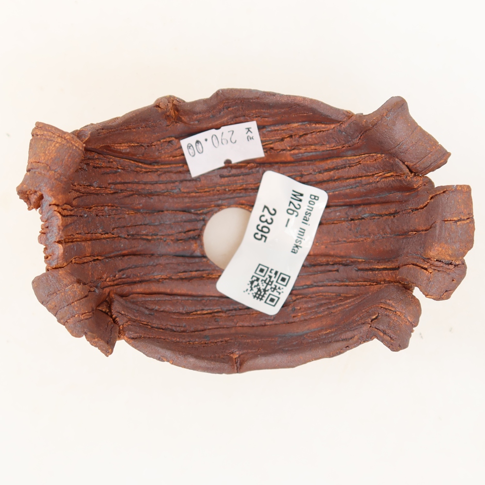 Ceramic Shell  10 x 7.5 x 7 cm, brown