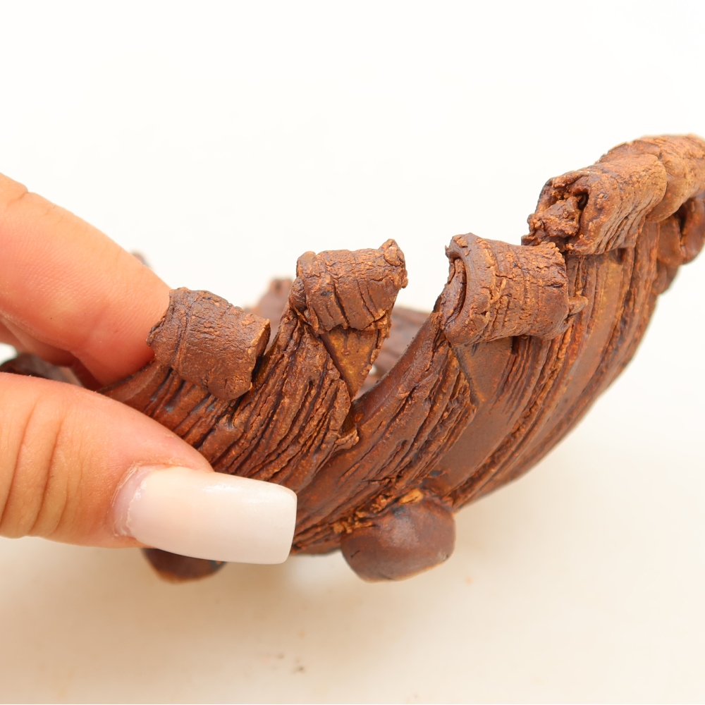 Ceramic Shell  12 x 8.5 x 5.5 cm, brown