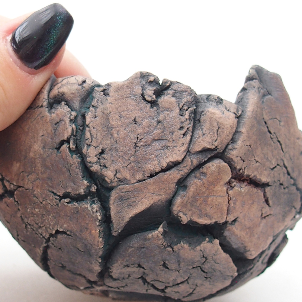 Ceramic Shell 9 x 9 x 6 cm , colour green