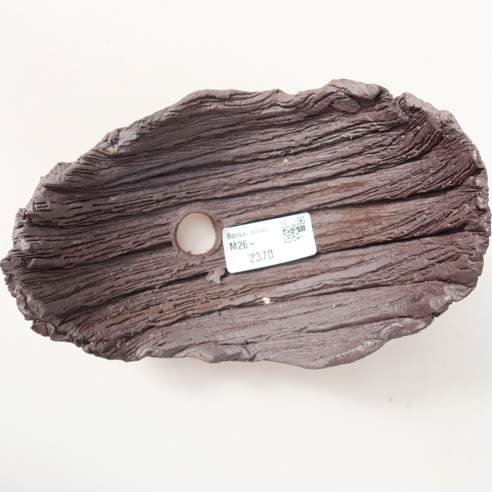 Ceramic Shell  14.5 x 11 x 12 cm, brown