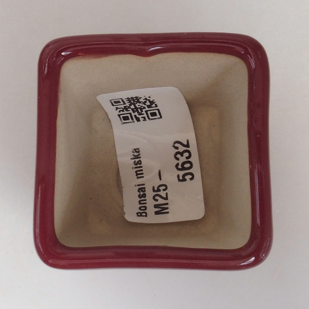 Mini bonsai bowl 4,5 x 4,5 x 4,5 cm, color burgundy
