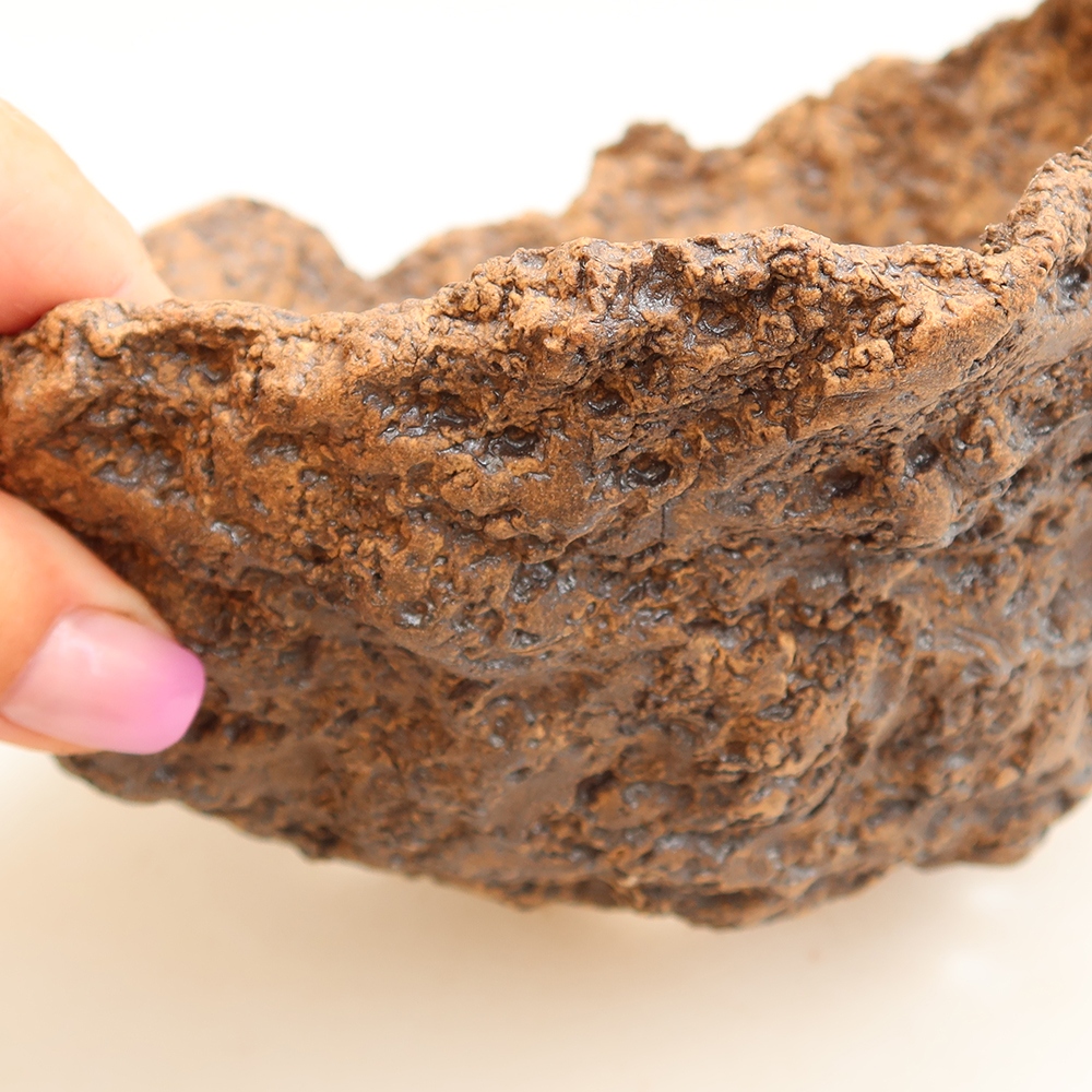 Ceramic Shell, 18 x 16 x 13.5 cm, brown