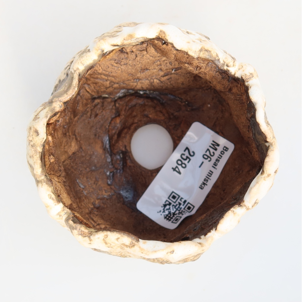 Ceramic Shell, 7.5 x 7 x 5 cm, white-brown