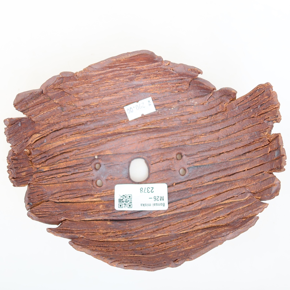 Ceramic Shell, 18 x 15 x 8 cm, brown