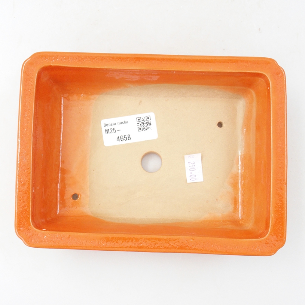 Ceramic bonsai bowl 17,5 x 13 x 4 cm, color orange