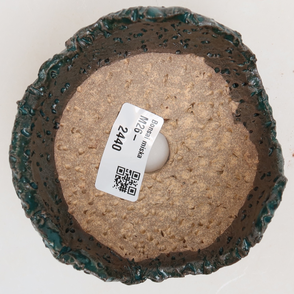 Ceramic Shell  10 x 10 x 6.5 cm, green