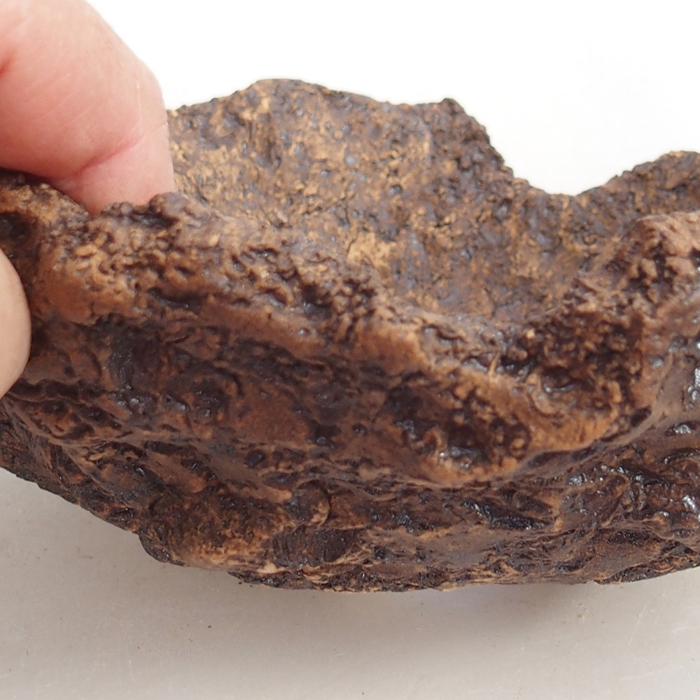 Ceramic shell 19 x 15 x 14 cm , colour brown