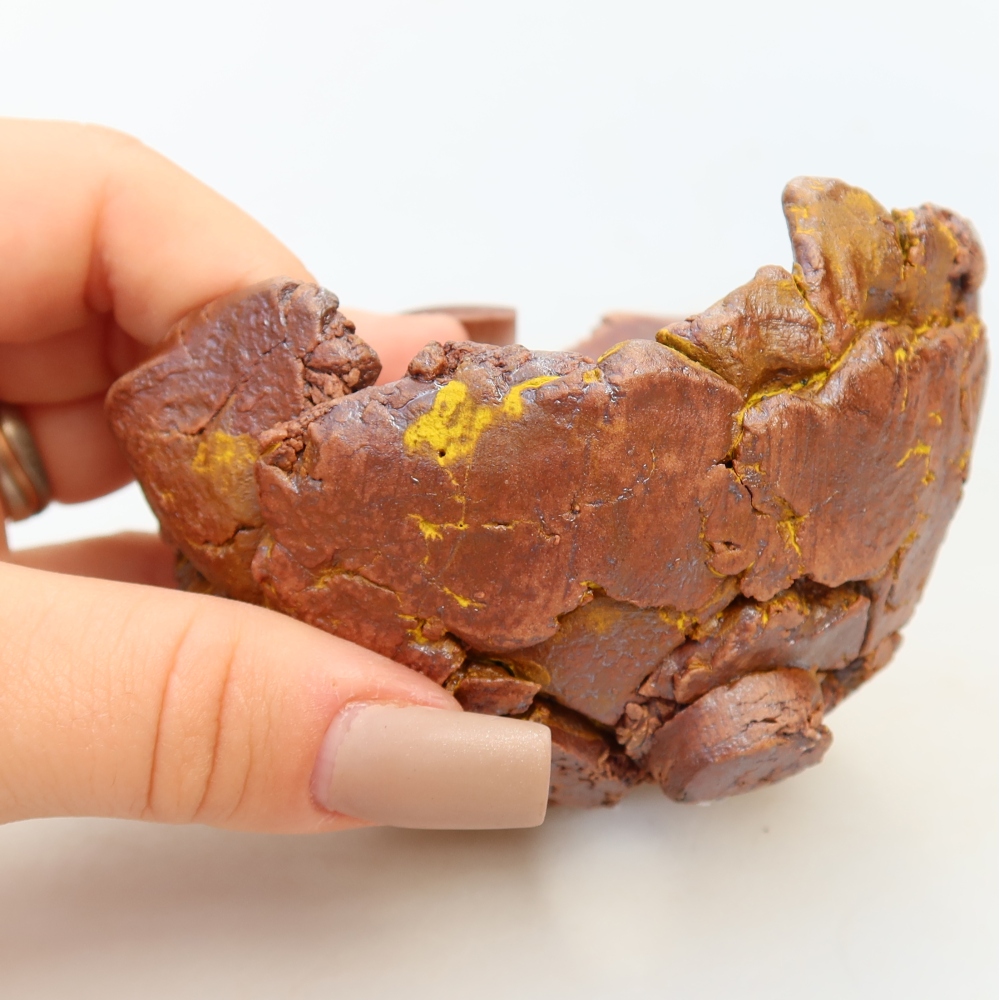 Ceramic Shell, 9.5 x 9 x 6 cm, yellow