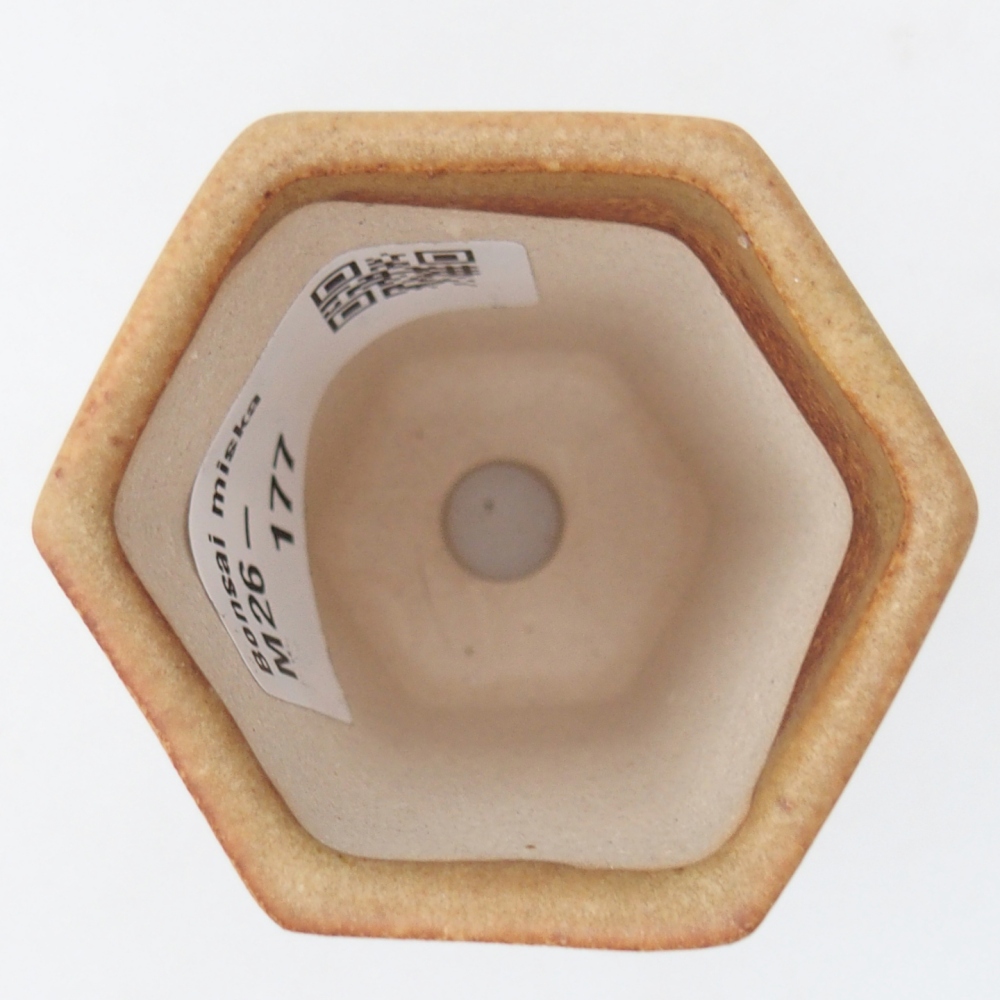 Mini bonsai bowl 5,5 x 5 x 5 cm, brown