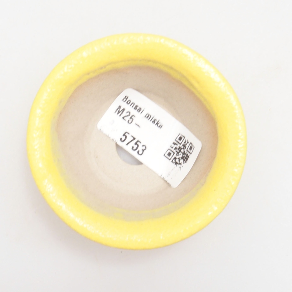 Ceramic bonsai bowl 7 x 7 x 2,5 cm, yellow