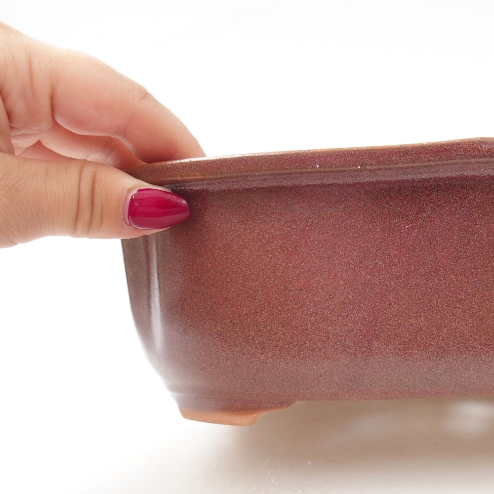 Ceramic bonsai bowl 22 x 18 x 7 cm, color burgundy