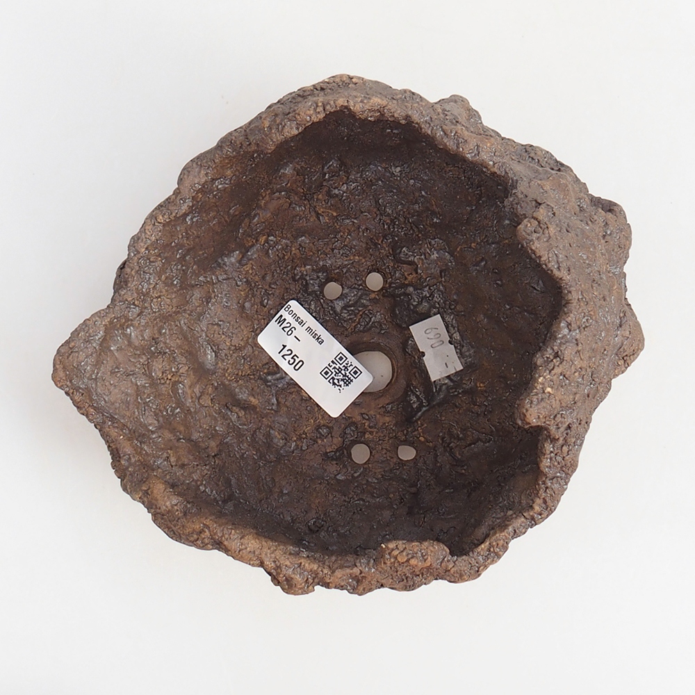 Ceramic shell 19 x 15 x 14 cm , colour brown