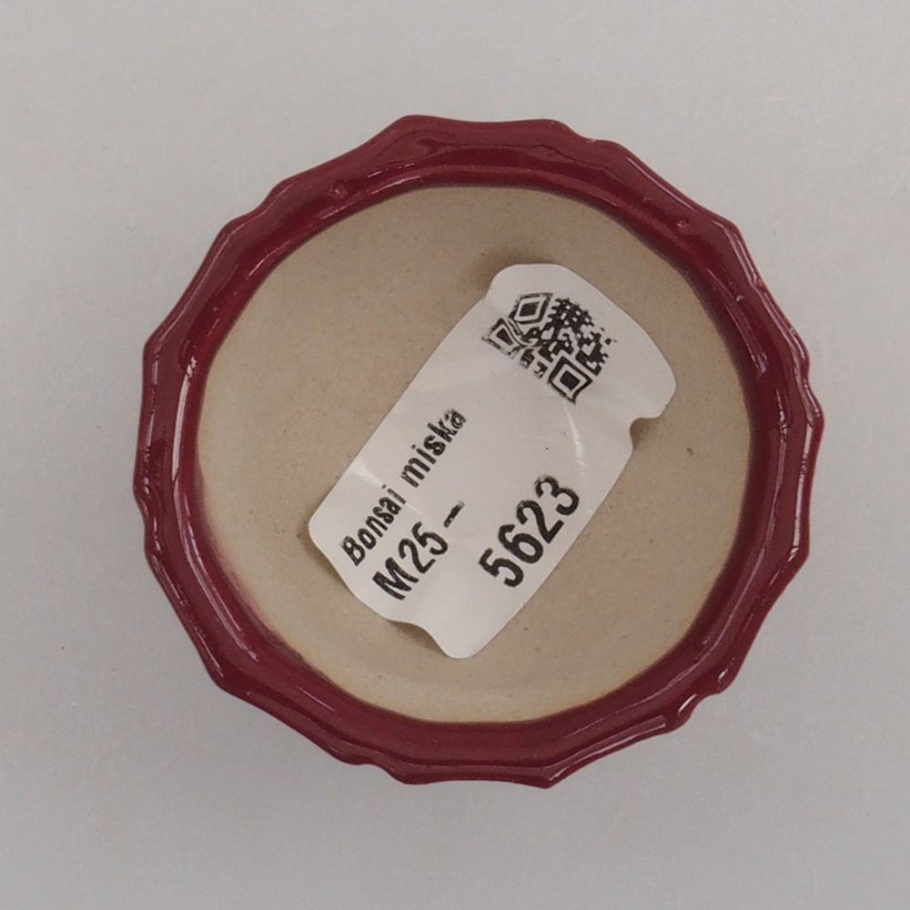 Mini bonsai bowl 5 x 5 x 3 cm, color burgundy