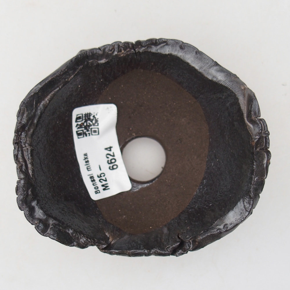 Ceramic Shell 9 x 8 x 5 cm , colour black