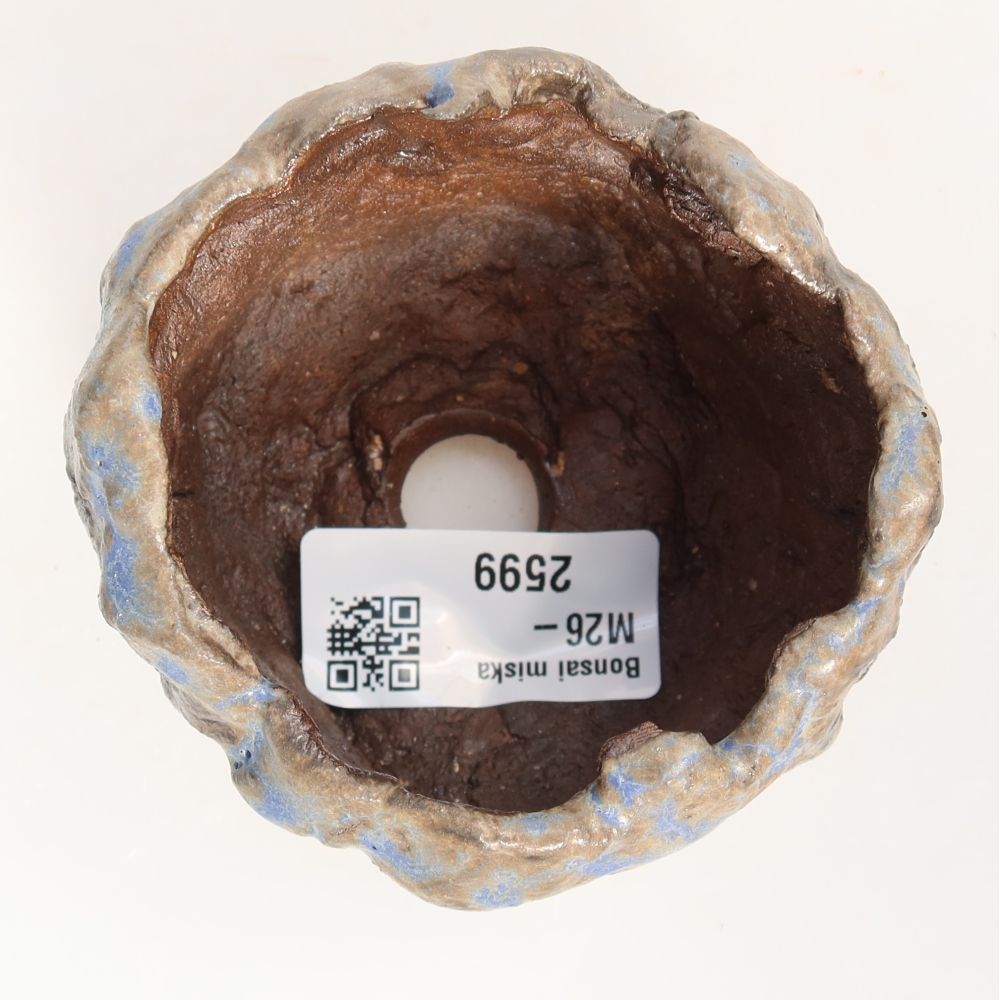 Ceramic Shell, 7.5 x 7.5 x 5.5 cm, blue-brown