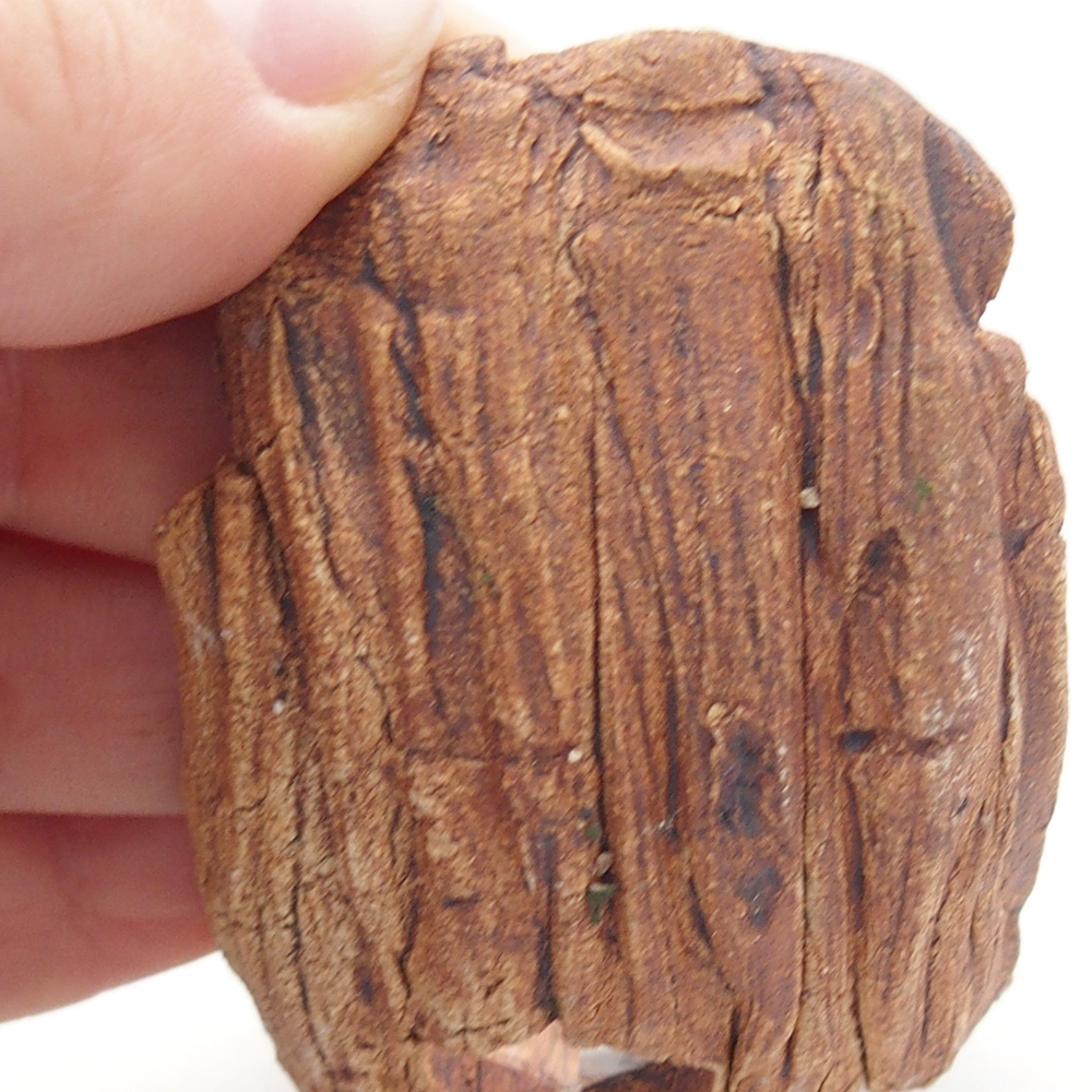 Ceramic Shell 9 x 4,5 x 4,5 cm , colour brown