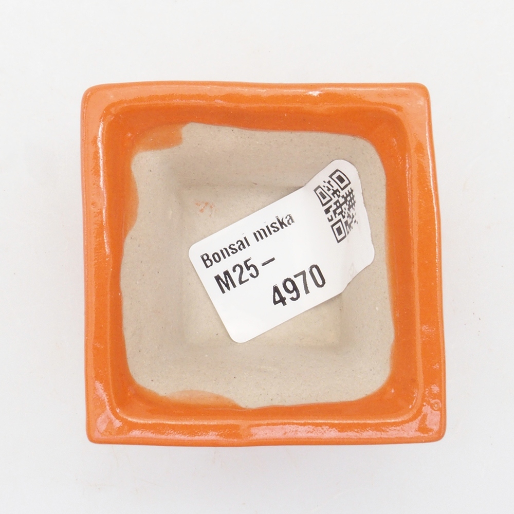 Mini bonsai bowl 5 x 5 x 3,5 cm, color orange