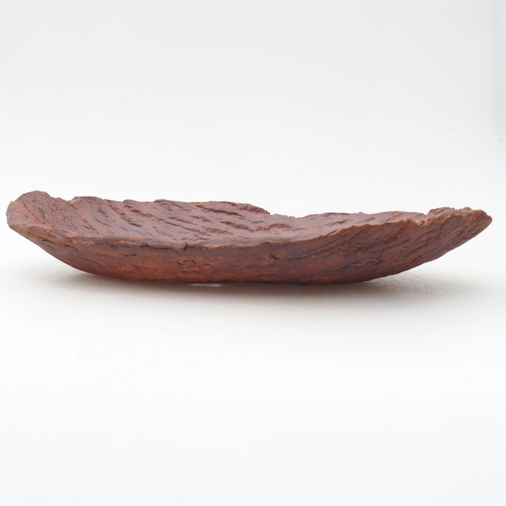 Ceramic Shell 30 x 18,5 x 5 cm , colour brown