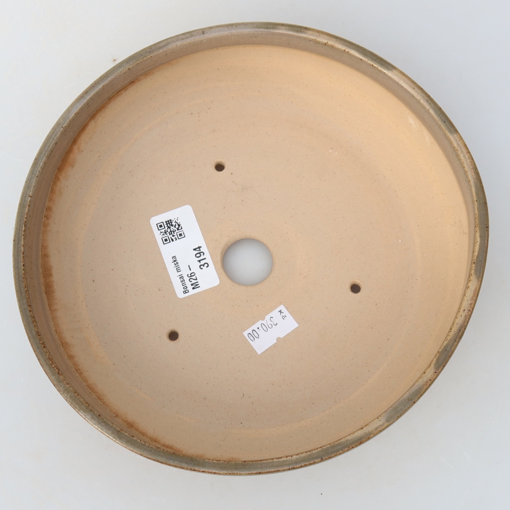 Ceramic bonsai pot, 19 x 19 x 5.5 cm, beige