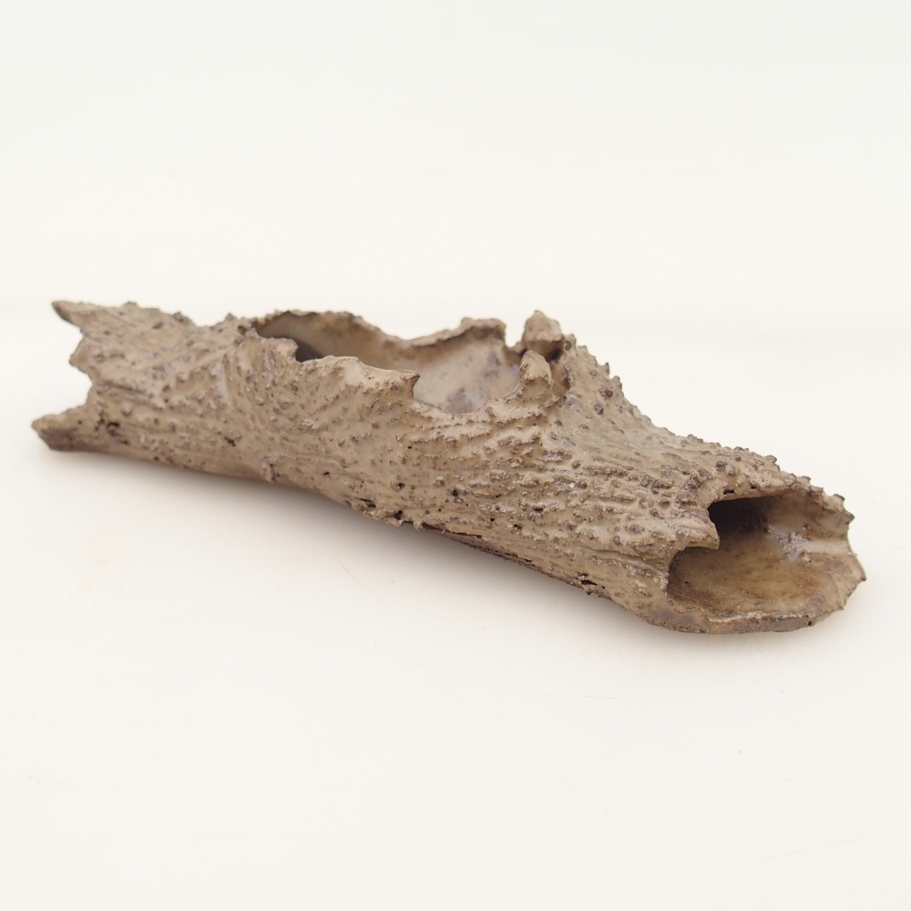 Ceramic Shell 15 x 5 x 3 cm , colour beige