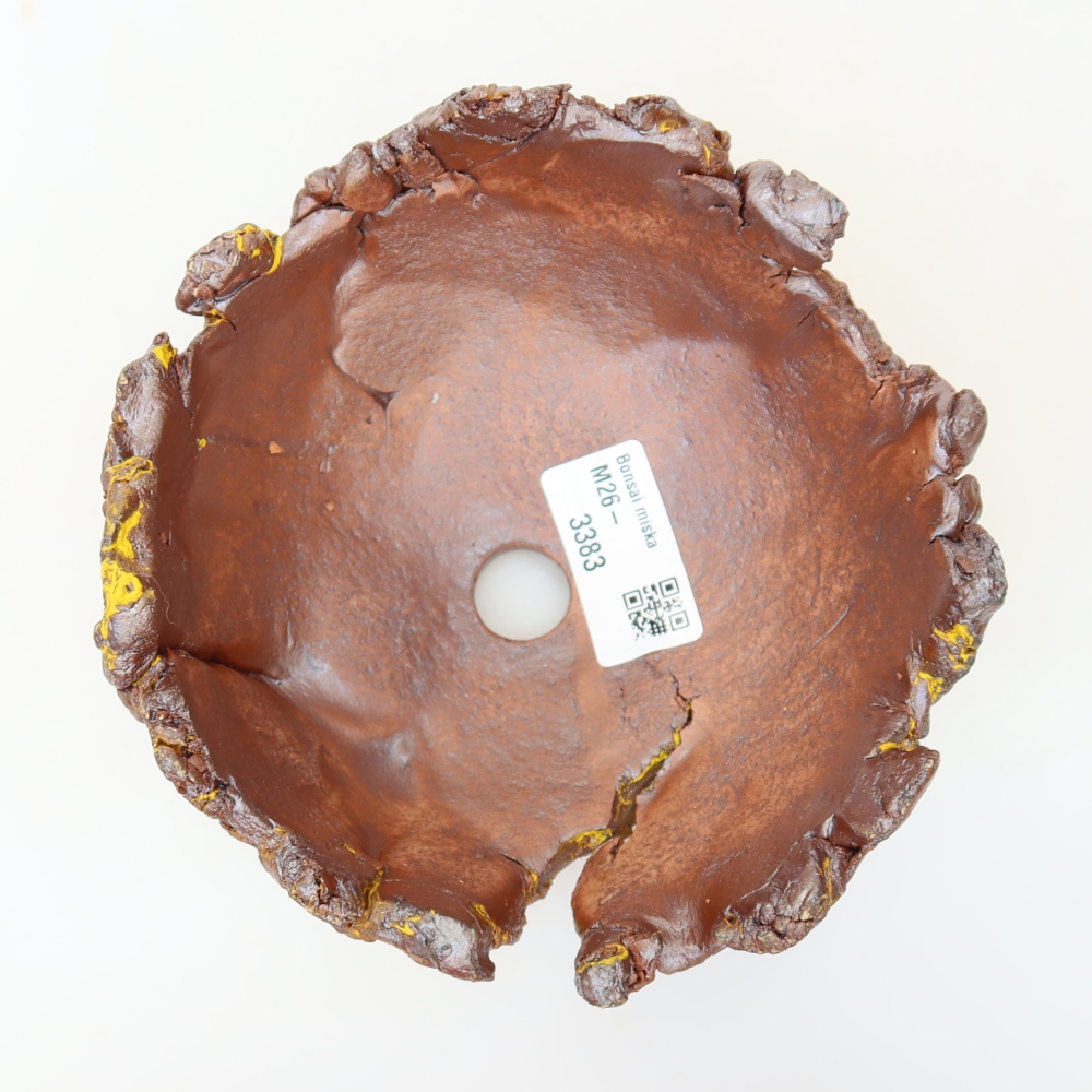 Ceramic Shell, 14 x 14 x 8.5 cm, yellow