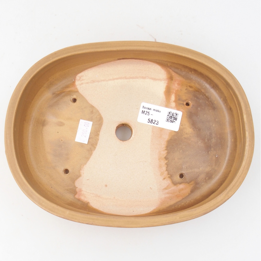 Ceramic bonsai bowl 22 x 16,5 x 4 cm, color beige