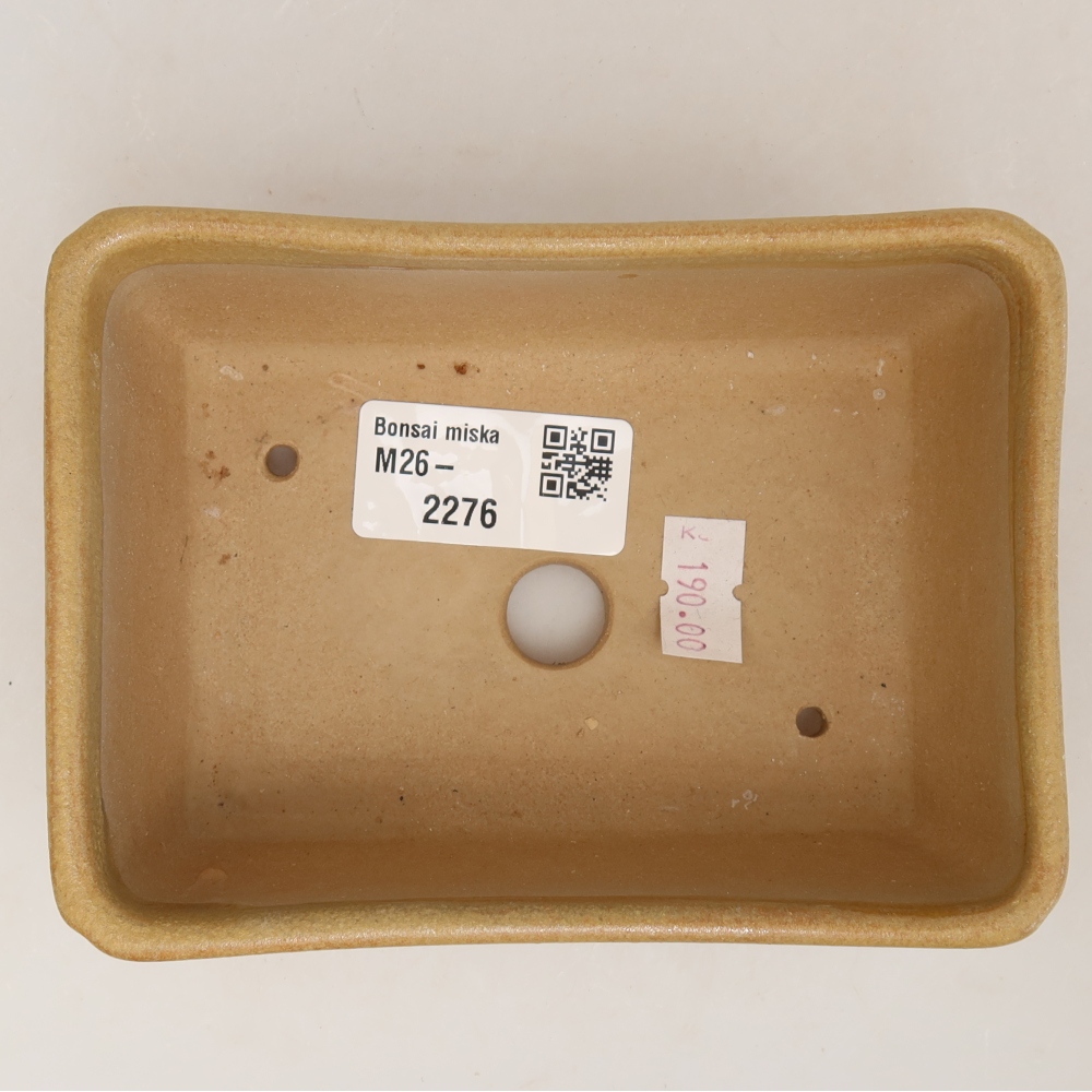 Ceramic bonsai pot, 13 x 9 x 5 cm, beige