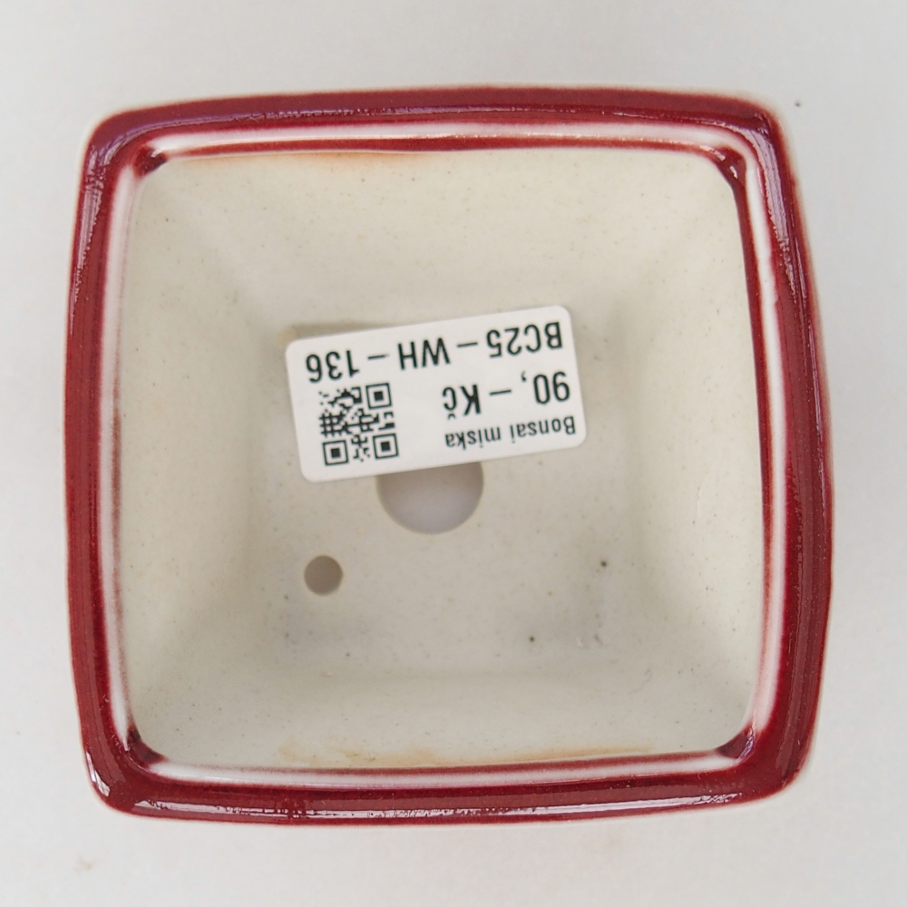 Mini bonsai bowl 8,5 x 8,5 x 6 cm, colour red
