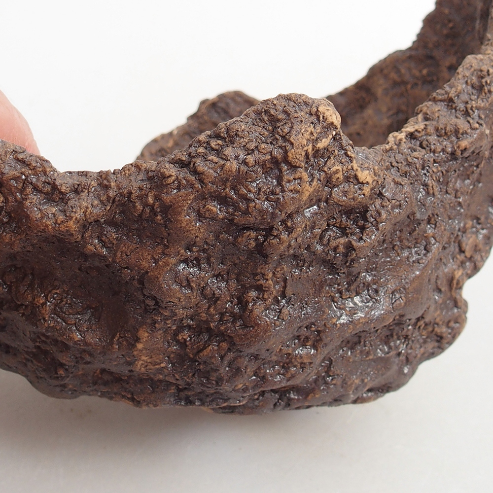 Ceramic Shell 13 x 11 x 11 cm , colour brown