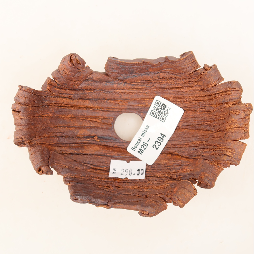 Ceramic Shell  12 x 8.5 x 5.5 cm, brown