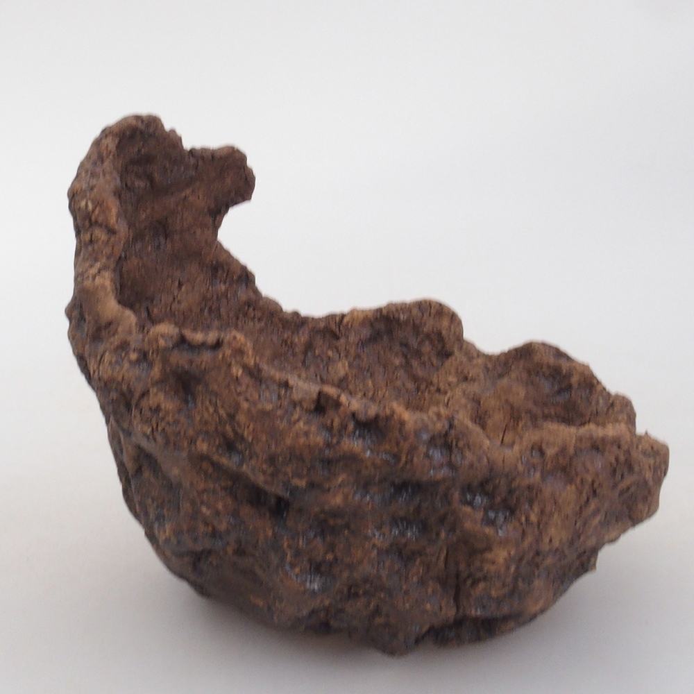Ceramic shell 9 x 9 x 9 cm, brown color