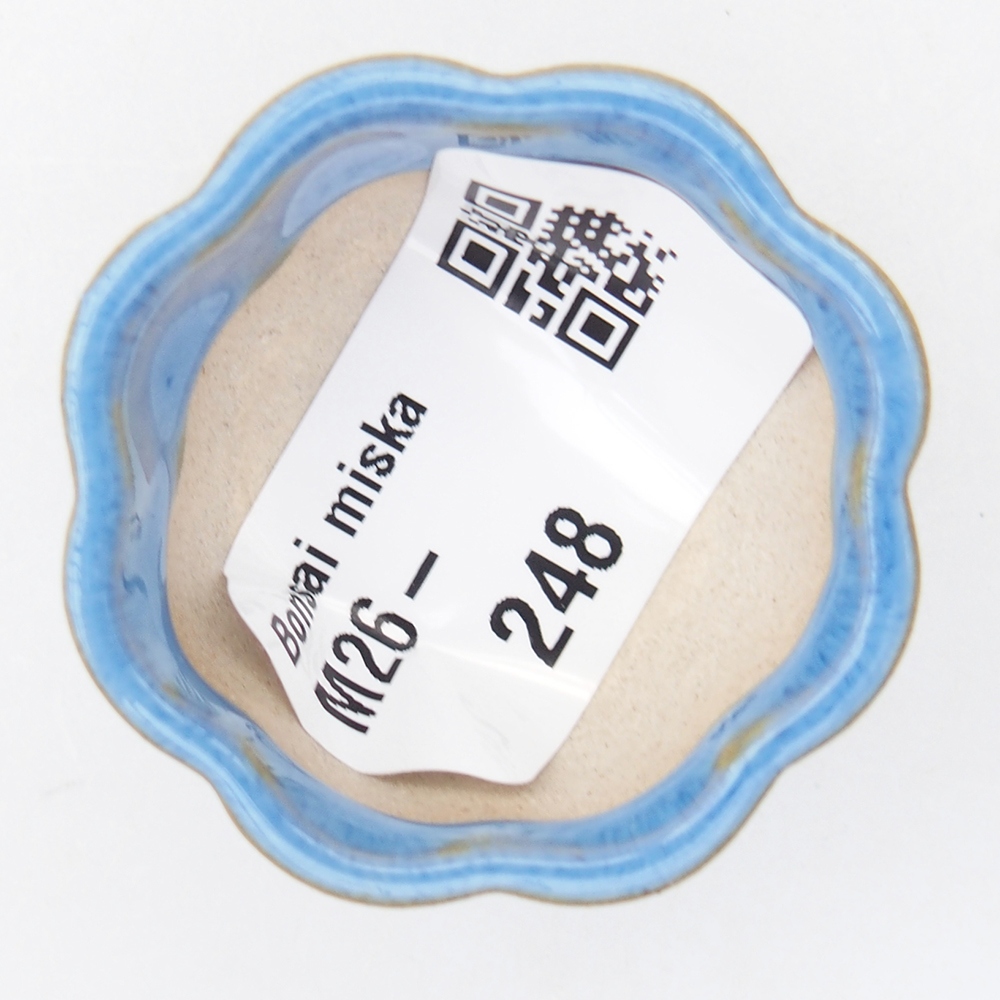 Mini bonsai bowl 4 x 4 x 2 cm, blue